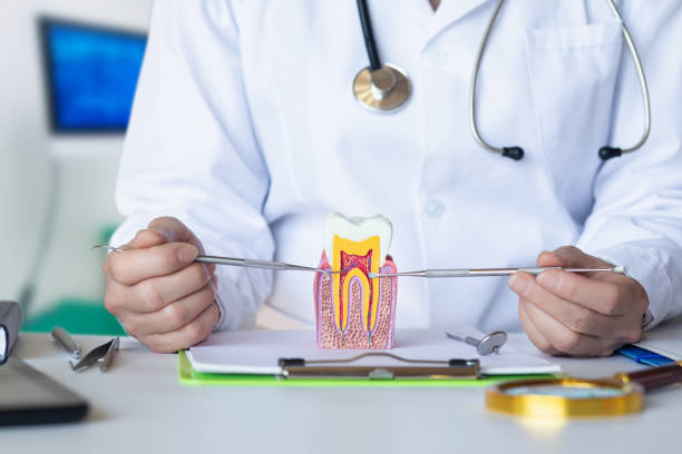 Best Broken or Chipped Tooth Repair in Nyon Lake, CA